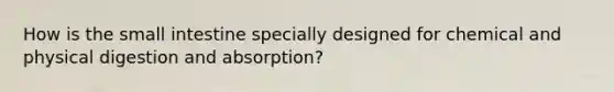 How is the small intestine specially designed for chemical and physical digestion and absorption?