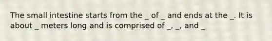 The small intestine starts from the _ of _ and ends at the _. It is about _ meters long and is comprised of _, _, and _