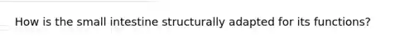 How is the small intestine structurally adapted for its functions?