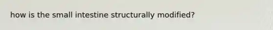 how is the small intestine structurally modified?