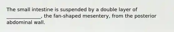 The small intestine is suspended by a double layer of ______________, the fan-shaped mesentery, from the posterior abdominal wall.