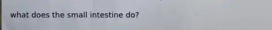 what does the small intestine do?