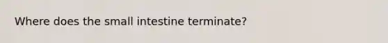 Where does the small intestine terminate?