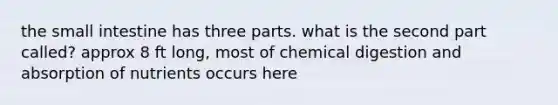 the small intestine has three parts. what is the second part called? approx 8 ft long, most of chemical digestion and absorption of nutrients occurs here