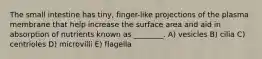 The small intestine has tiny, finger-like projections of the plasma membrane that help increase the surface area and aid in absorption of nutrients known as ________. A) vesicles B) cilia C) centrioles D) microvilli E) flagella