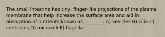 <a href='https://www.questionai.com/knowledge/kt623fh5xn-the-small-intestine' class='anchor-knowledge'>the small intestine</a> has tiny, finger-like projections of the plasma membrane that help increase the surface area and aid in absorption of nutrients known as ________. A) vesicles B) cilia C) centrioles D) microvilli E) flagella