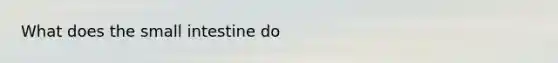What does the small intestine do