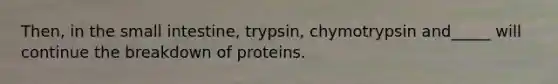 Then, in the small intestine, trypsin, chymotrypsin and_____ will continue the breakdown of proteins.