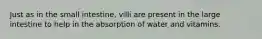 Just as in the small intestine, villi are present in the large intestine to help in the absorption of water and vitamins.