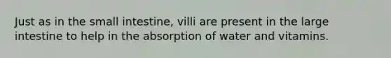 Just as in <a href='https://www.questionai.com/knowledge/kt623fh5xn-the-small-intestine' class='anchor-knowledge'>the small intestine</a>, villi are present in the <a href='https://www.questionai.com/knowledge/kGQjby07OK-large-intestine' class='anchor-knowledge'>large intestine</a> to help in the absorption of water and vitamins.