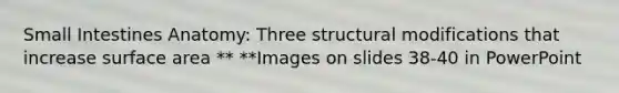 Small Intestines Anatomy: Three structural modifications that increase surface area ** **Images on slides 38-40 in PowerPoint