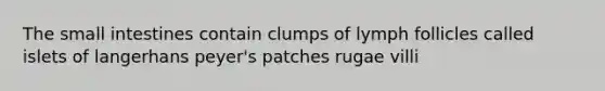 The small intestines contain clumps of lymph follicles called islets of langerhans peyer's patches rugae villi