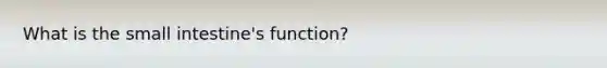 What is the small intestine's function?