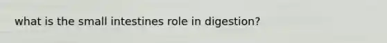 what is the small intestines role in digestion?