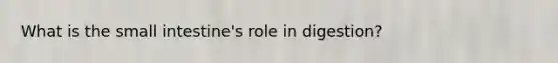 What is the small intestine's role in digestion?