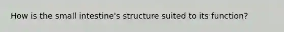 How is the small intestine's structure suited to its function?