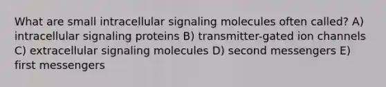 What are small intracellular signaling molecules often called? A) intracellular signaling proteins B) transmitter-gated ion channels C) extracellular signaling molecules D) second messengers E) first messengers