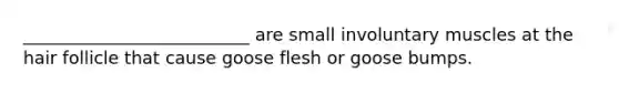 __________________________ are small involuntary muscles at the hair follicle that cause goose flesh or goose bumps.