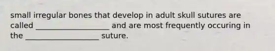 small irregular bones that develop in adult skull sutures are called ___________________ and are most frequently occuring in the ___________________ suture.