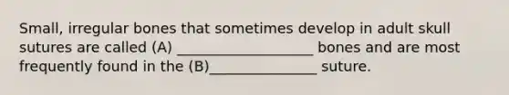 Small, irregular bones that sometimes develop in adult skull sutures are called (A) ___________________ bones and are most frequently found in the (B)_______________ suture.