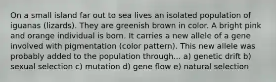 On a small island far out to sea lives an isolated population of iguanas (lizards). They are greenish brown in color. A bright pink and orange individual is born. It carries a new allele of a gene involved with pigmentation (color pattern). This new allele was probably added to the population through... a) genetic drift b) sexual selection c) mutation d) gene flow e) natural selection