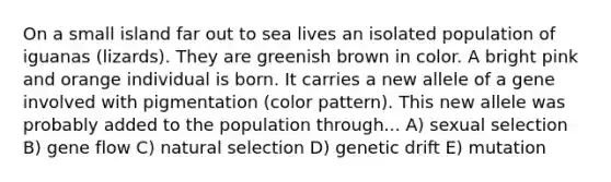 On a small island far out to sea lives an isolated population of iguanas (lizards). They are greenish brown in color. A bright pink and orange individual is born. It carries a new allele of a gene involved with pigmentation (color pattern). This new allele was probably added to the population through... A) sexual selection B) gene flow C) natural selection D) genetic drift E) mutation