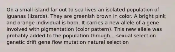 On a small island far out to sea lives an isolated population of iguanas (lizards). They are greenish brown in color. A bright pink and orange individual is born. It carries a new allele of a gene involved with pigmentation (color pattern). This new allele was probably added to the population through... sexual selection genetic drift gene flow mutation natural selection