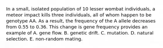 In a small, isolated population of 10 lesser wombat individuals, a meteor impact kills three individuals, all of whom happen to be genotype AA. As a result, the frequency of the A allele decreases from 0.55 to 0.36. This change is gene frequency provides an example of A. gene flow. B. genetic drift. C. mutation. D. natural selection. E. non-random mating.