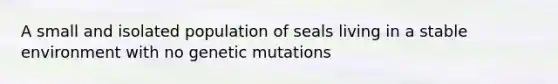 A small and isolated population of seals living in a stable environment with no genetic mutations