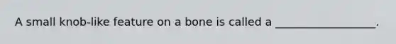 A small knob-like feature on a bone is called a __________________.