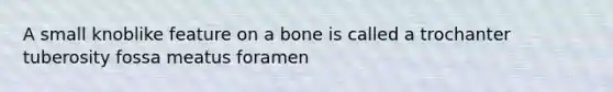 A small knoblike feature on a bone is called a trochanter tuberosity fossa meatus foramen