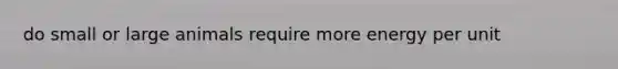 do small or large animals require more energy per unit