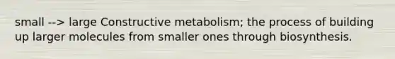 small --> large Constructive metabolism; the process of building up larger molecules from smaller ones through biosynthesis.