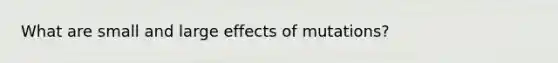 What are small and large effects of mutations?