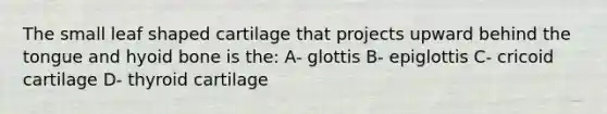 The small leaf shaped cartilage that projects upward behind the tongue and hyoid bone is the: A- glottis B- epiglottis C- cricoid cartilage D- thyroid cartilage