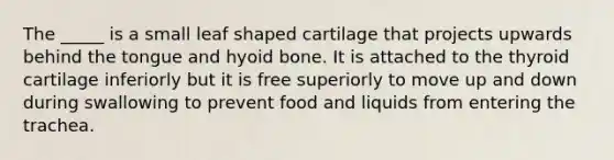 The _____ is a small leaf shaped cartilage that projects upwards behind the tongue and <a href='https://www.questionai.com/knowledge/kVV1acPC4Z-hyoid-bone' class='anchor-knowledge'>hyoid bone</a>. It is attached to the thyroid cartilage inferiorly but it is free superiorly to move up and down during swallowing to prevent food and liquids from entering the trachea.