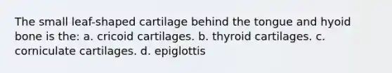 The small leaf-shaped cartilage behind the tongue and hyoid bone is the: a. cricoid cartilages. b. thyroid cartilages. c. corniculate cartilages. d. epiglottis