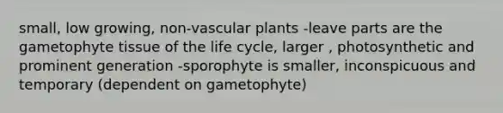 small, low growing, non-vascular plants -leave parts are the gametophyte tissue of the life cycle, larger , photosynthetic and prominent generation -sporophyte is smaller, inconspicuous and temporary (dependent on gametophyte)