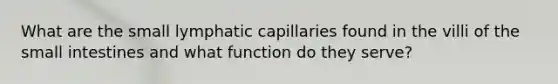 What are the small lymphatic capillaries found in the villi of the small intestines and what function do they serve?