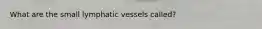 What are the small lymphatic vessels called?