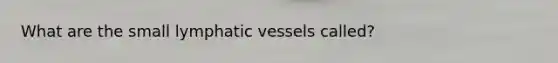 What are the small lymphatic vessels called?