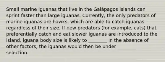 Small marine iguanas that live in the Galápagos Islands can sprint faster than large iguanas. Currently, the only predators of marine iguanas are hawks, which are able to catch iguanas regardless of their size. If new predators (for example, cats) that preferentially catch and eat slower iguanas are introduced to the island, iguana body size is likely to ________ in the absence of other factors; the iguanas would then be under ________ selection.