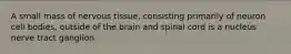 A small mass of nervous tissue, consisting primarily of neuron cell bodies, outside of the brain and spinal cord is a nucleus nerve tract ganglion