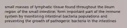 small masses of lymphatic tissue found throughout the ileum region of the small intestine; form important part of the immune system by monitoring intestinal bacteria populations and preventing the growth of pathogenic bacteria in the intestines