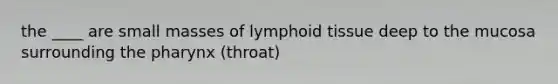 the ____ are small masses of lymphoid tissue deep to the mucosa surrounding the pharynx (throat)