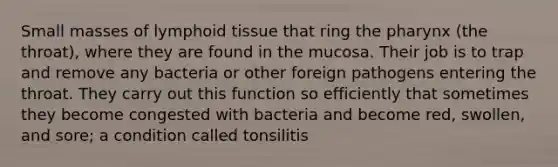 Small masses of lymphoid tissue that ring the pharynx (the throat), where they are found in the mucosa. Their job is to trap and remove any bacteria or other foreign pathogens entering the throat. They carry out this function so efficiently that sometimes they become congested with bacteria and become red, swollen, and sore; a condition called tonsilitis