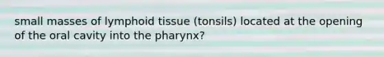 small masses of lymphoid tissue (tonsils) located at the opening of the oral cavity into the pharynx?