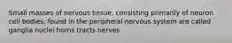 Small masses of nervous tissue, consisting primarily of neuron cell bodies, found in the peripheral nervous system are called ganglia nuclei horns tracts nerves