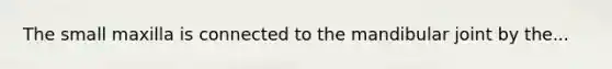 The small maxilla is connected to the mandibular joint by the...