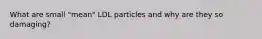 What are small "mean" LDL particles and why are they so damaging?